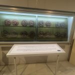 NULES INSTALA PANELES INFORMATIVOS EN EL MUSEO DE MEDALLÍSTICA ENRIQUE GINER