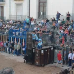 NULES ACOMIADA LES SEUES FESTES PATRONALS AQUEST CAP DE SETMANA AMB UNA GRAN PARTICIPACIÓ EN ELS ACTES TAURINS