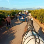 NULES CELEBRARÁ EL DOMINGO LA CAMINATA A LA MUNTANYETA DE SANT ANTONI DE BETXÍ