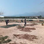 NULES MILLORA EL PARC CANÍ DE LA SERRALETA