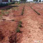 LOS ALUMNOS DE AGRICULTURA ECOLÓGICA PONEN EN PRÁCTICA LA INSTALACIÓN DEL RIEGO POR GOTEO