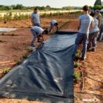 ELS ALUMNES D'AGRICULTURA INSTAL·LEN MALLA AL LABERINT ECOLÒGIC PER EVITAR EL CREIXEMENT D'HERBES ADVENTÍCIES