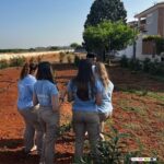 LA CAMPAÑA DEL LABERINTO ECOLÓGICO VINCULA EL COMERCIO CON LA SOSTENIBILIDAD Y EL CONSUMO RESPONSABLE