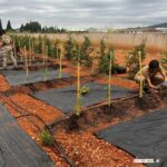 LOS ALUMNOS DE AGRICULTURA COMPLETAN CON ÉXITO LA UNIDAD FORMATIVA: LABORES CULTURALES Y RECOLECCIÓN DE CULTIVOS ECOLÓGICOS