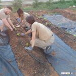 LOS ALUMNOS DE AGRICULTURA ECOLÓGICA PROYECTAN LA PLANTACIÓN DE FRUTAS Y HORTALIZAS
