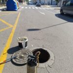 NULES REALITZARÀ TREBALLS DE DESINSECTACIÓ I DESRATITZACIÓ
