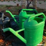 L'ABONAT ECOLÒGIC: UN TEMA CLAU EN LA FORMACIÓ DELS DELS FUTURS PROFESSIONALS DE L'AGRICULTURA SOSTENIBLE