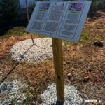 LOS ALUMNOS DE ALBAÑILERÍA PRACTICAN LA CIMENTACIÓN CON LA INSTALACIÓN DE LA SEÑALÉTICA DEL LABERINTO ECOLÓGICO