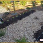 LA PLANTACIÓ DE L'HORT ECOLÒGIC INTEGRA COMPROMÍS, APRENENTATGE I SOSTENIBILITAT