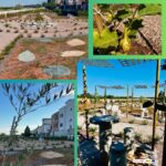 ELS ALUMNES D'AGRICULTURA ECOLÒGICA TRANSFORMEN UN SOLAR EN UN LABERTINT VEGETAL I HORT SOSTENIBLE