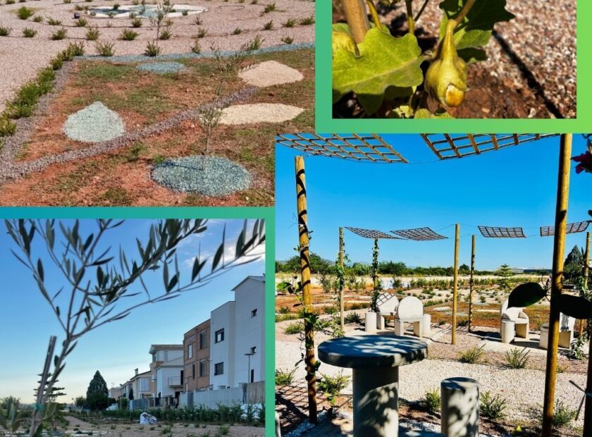 POST FINALIZACIÓN LABERINTO