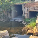 NULES RECEPCIONA EL COLECTOR 2 CON EL QUE SE MEJORA DIFERENTES ÁREAS INDUSTRIALES DEL MUNICIPIO