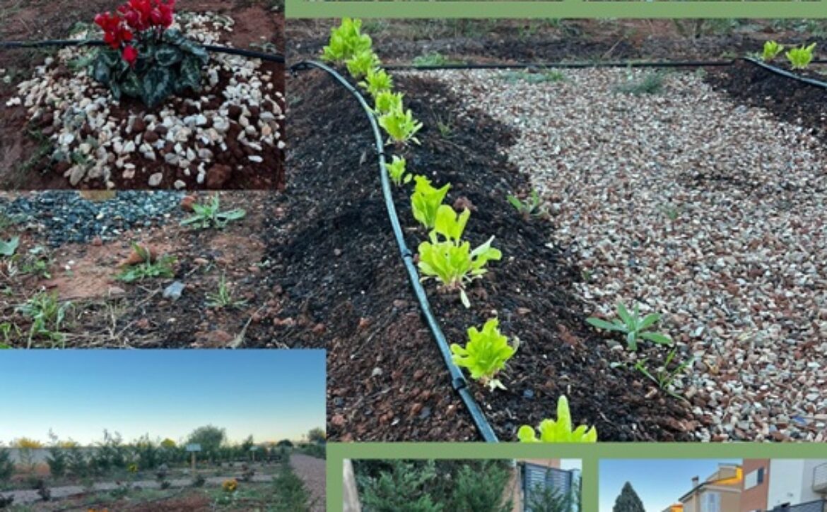 FOTO MANTENINMIENTO PARCELA