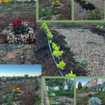 LAS LABORES DE MANTENIMIENTO EN EL LABERINTO VEGETAL ECOLÓGICO CONSOLIDAN EL TRABAJO PRÁCTICO DEL CP DE AGRICULTURA ECOLÓGICO