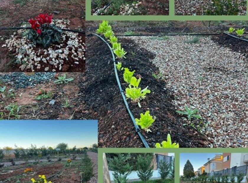 FOTO MANTENINMIENTO PARCELA