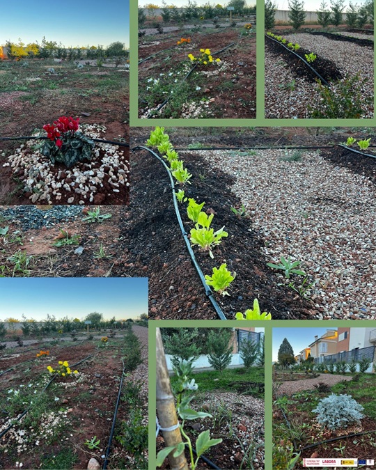 FOTO MANTENINMIENTO PARCELA