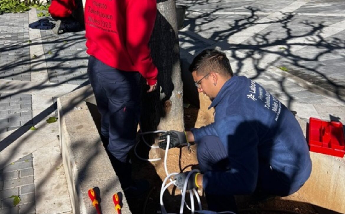 OK FOTO ILUMINACIÓN PLAZA DEL MERCADO