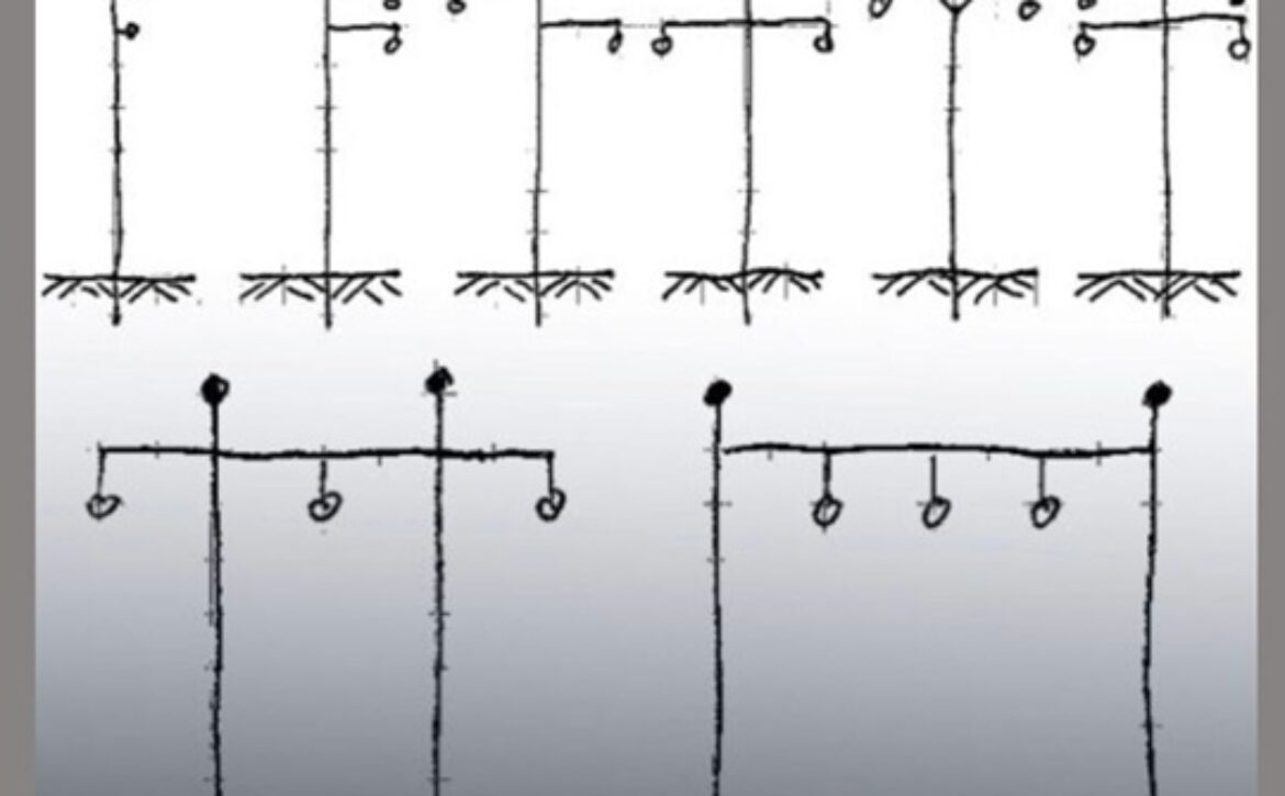 ÚLTIMOS POSTS – 1