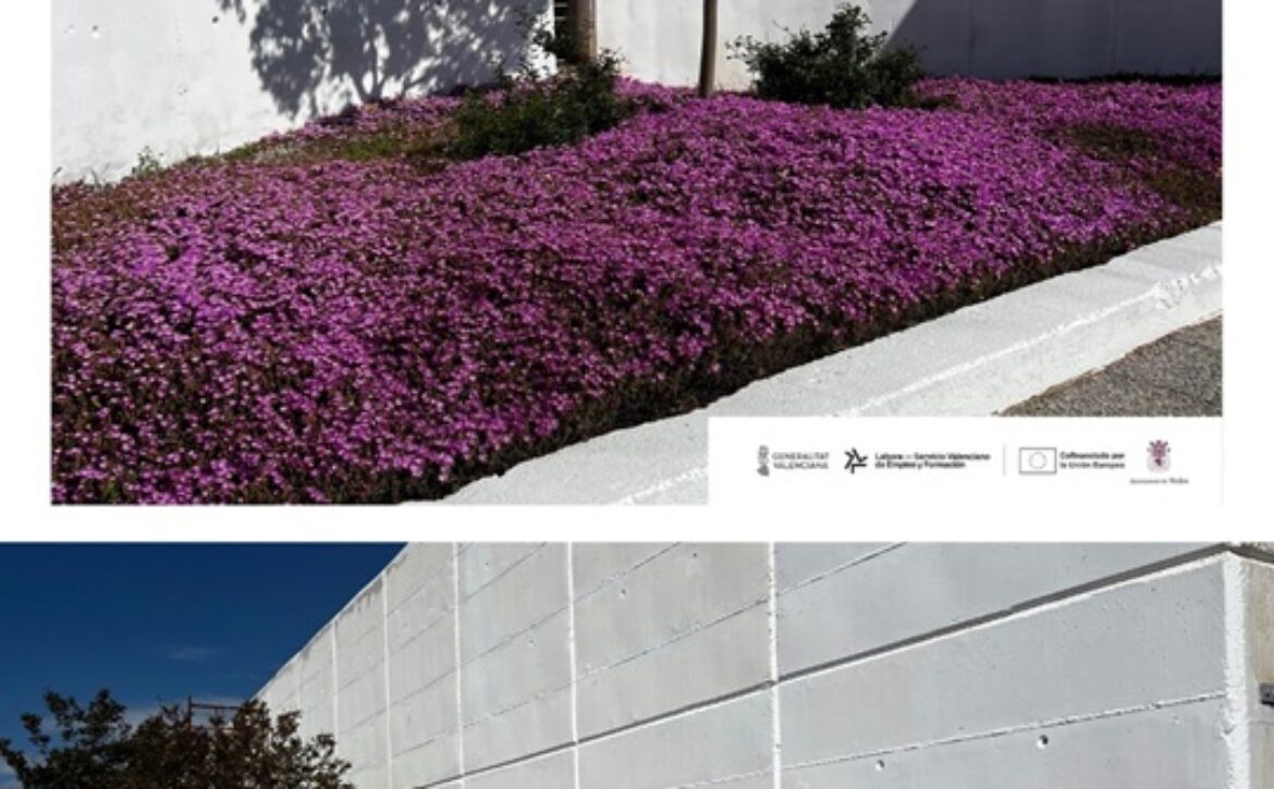 ÚLTIMOS POSTS – 1