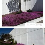 LOS ALUMNOS FINALIZAN LA REPARACIÓN Y PINTURA DEL MURO PERIMETRAL DEL CEMENTERIO