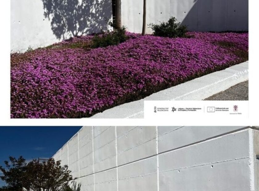 ÚLTIMOS POSTS – 1