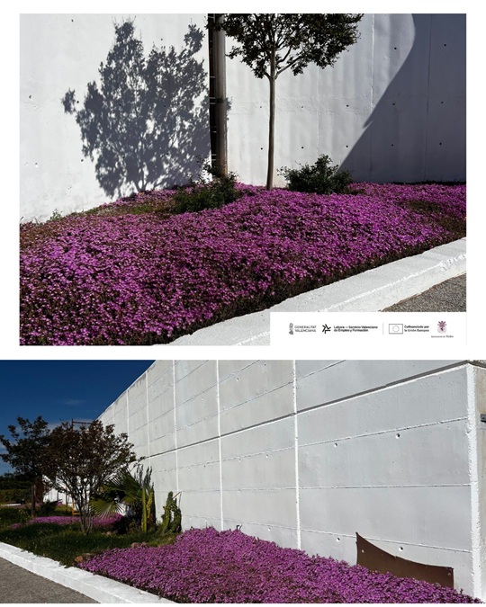 ÚLTIMOS POSTS – 1