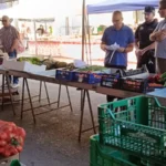 NULES QUIERE EVITAR ROBOS DE FRUTA EN SUS CAMPOS