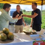 NULES POSA EN VALOR ELS SEUS PRODUCTES DE MARJAL