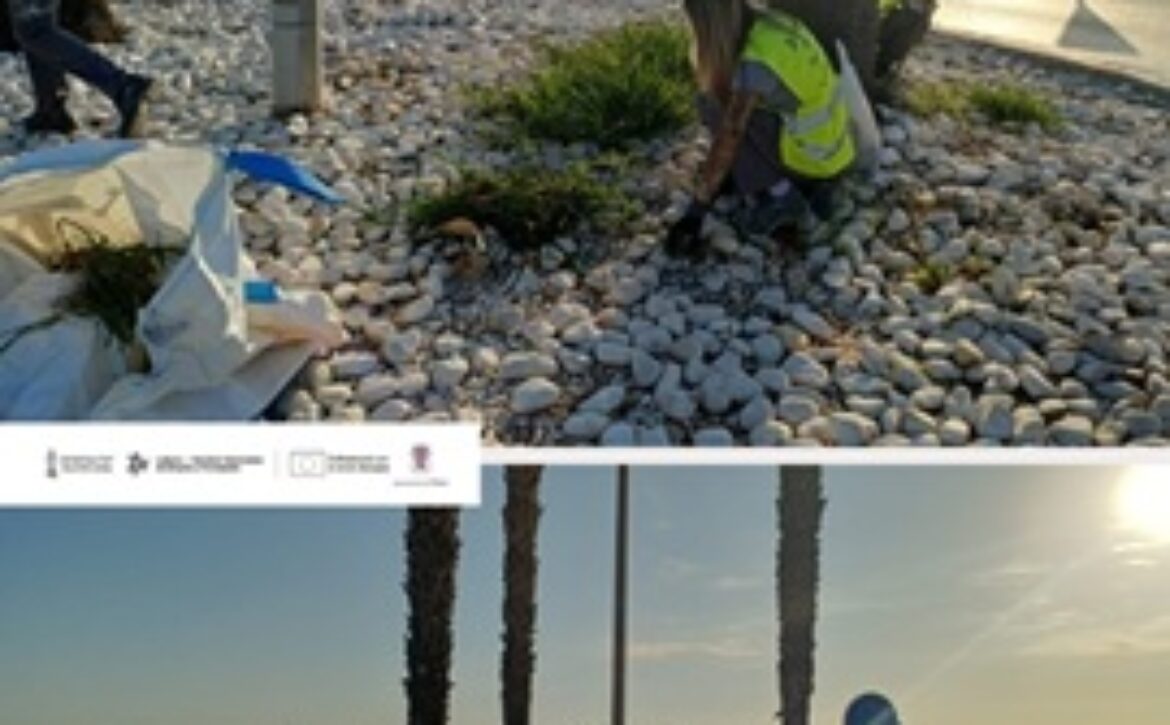 ÚLTIMOS POSTS – 1