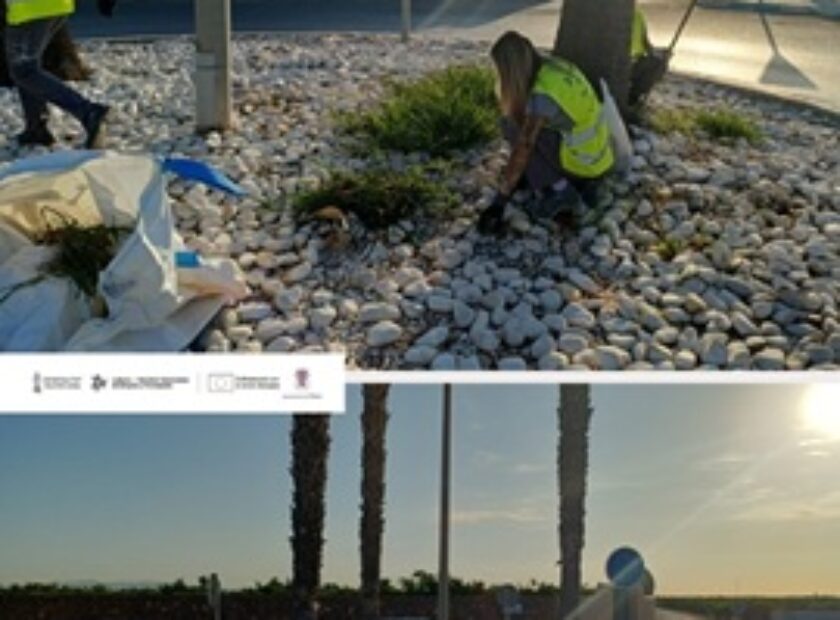 ÚLTIMOS POSTS – 1