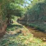 NULES CONTRACTA A 46 PERSONES ATURADES DEL SECTOR AGRARI