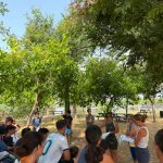 NULES ACERCA A LA JUVENTUD LA HISTORIA Y RELEVANCIA DE LAS CASETAS DE LA MAR