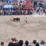 MASSIVA PARTICIPACIÓ EN LES PRIMERES JORNADES DE BOUS AL CARRER DE LES FESTES PATRONALS DE NULES