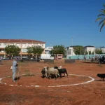 NULES CLAUSURA LA LXXIX FIRA DE RAMADERIA I MAQUINÀRIA AGRÍCOLA
